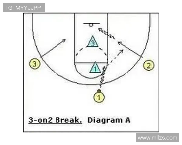 广州羽毛球队快攻战术深度解析与实战应用探讨
